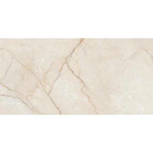 Gạch lát sàn Trường Thịnh LIFESTONE AD12602-T Onyx_Yunis